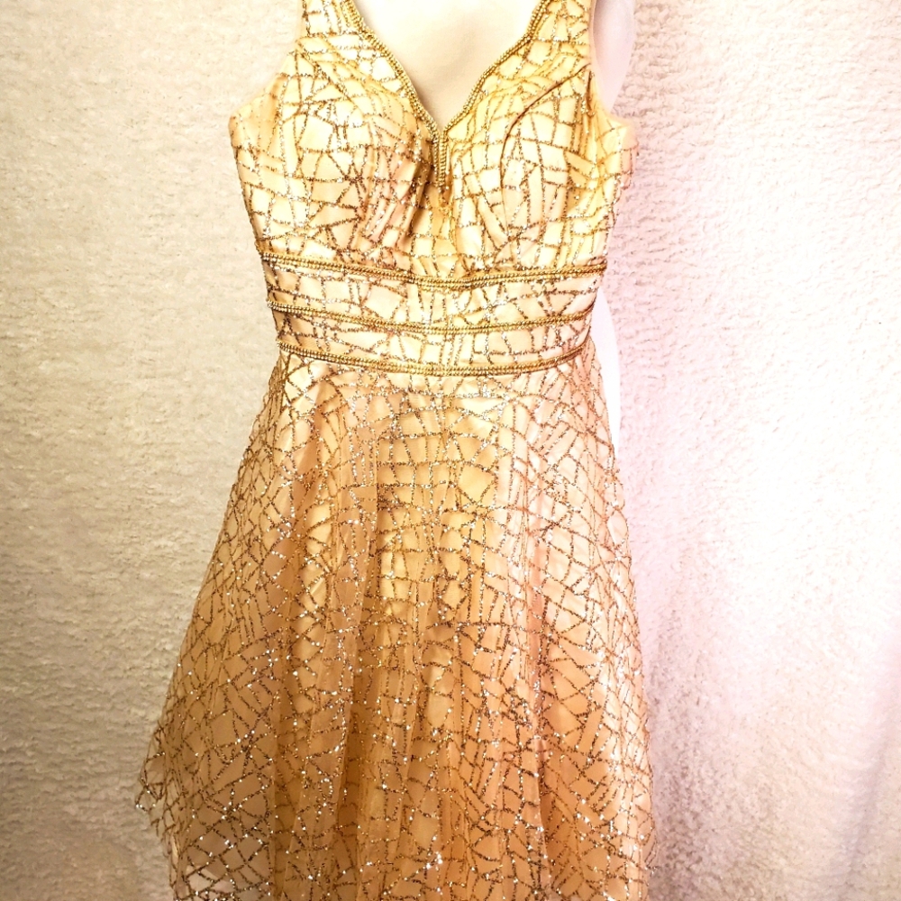 Elegant wedding/ prom Dance  Dress